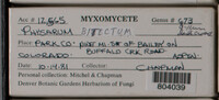 Image Associated With the Occurence